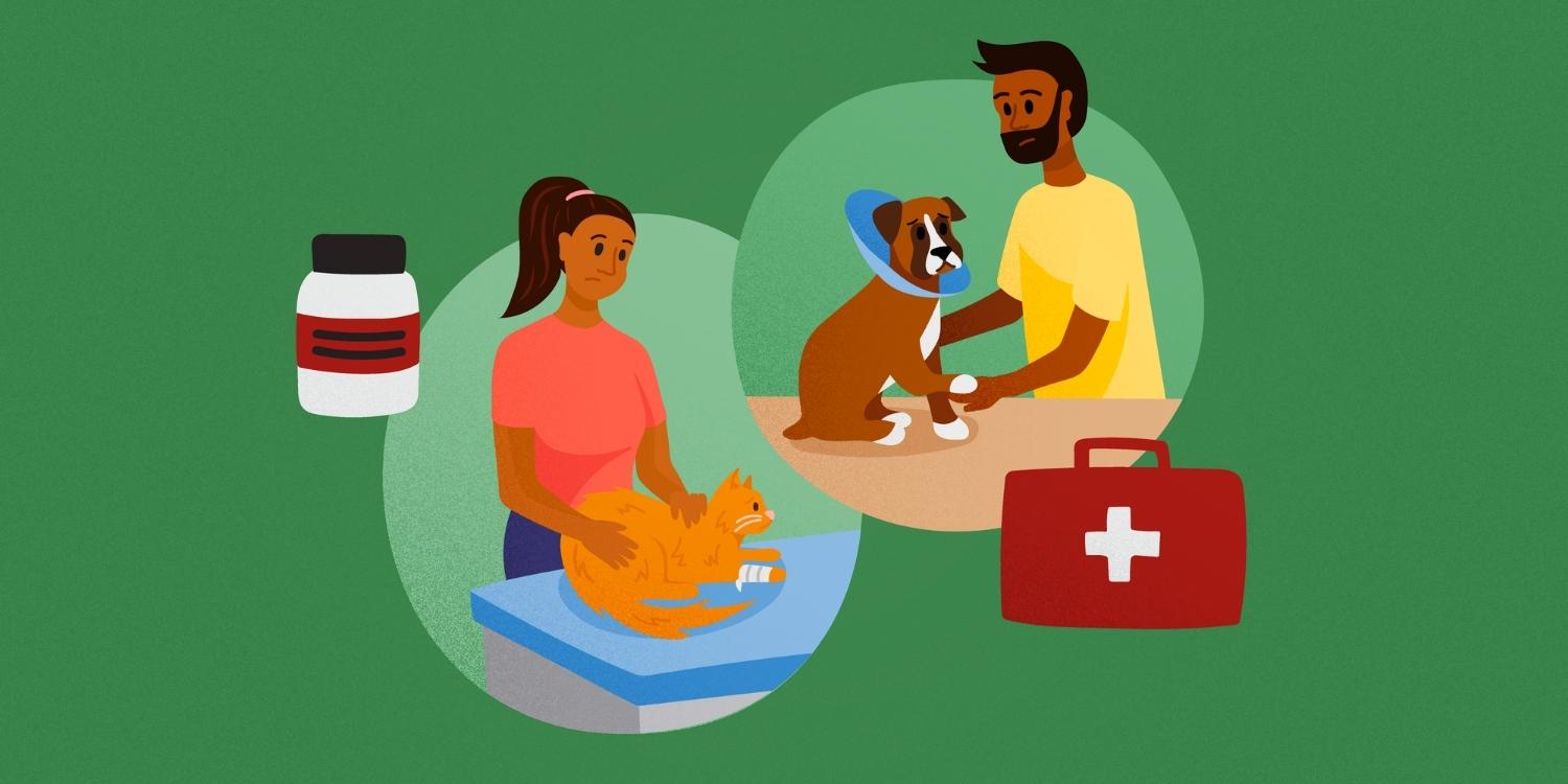 Pet-First-Aid-Illustration.jpg