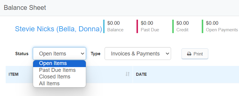 client-balance-sheet-filters