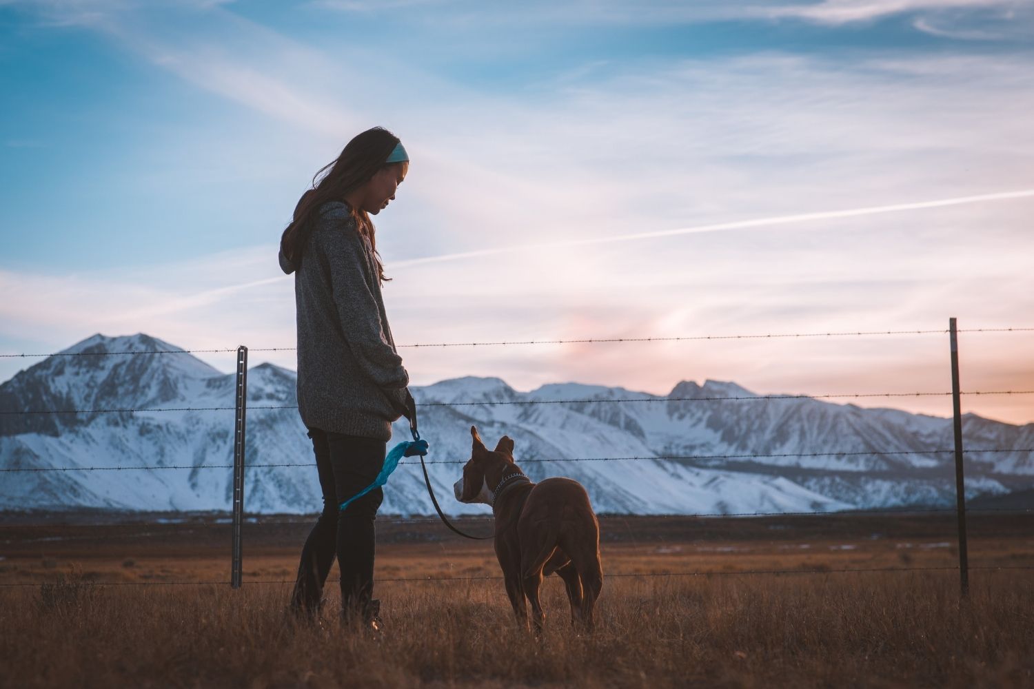 dog-walking-business-name-mountains