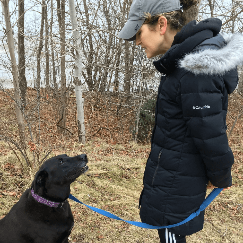 happy-paws-dog-on-walk