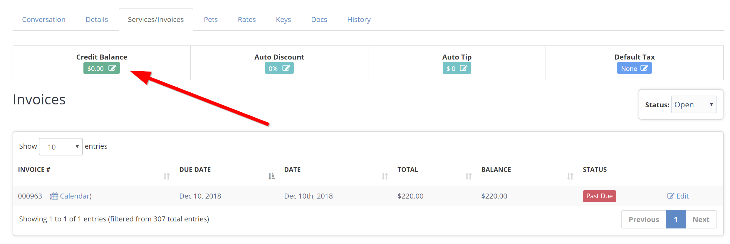 Credit Balance on Services/Invoices Tab