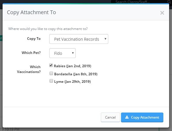 Copy Attachment To Pet Vaccination Tool