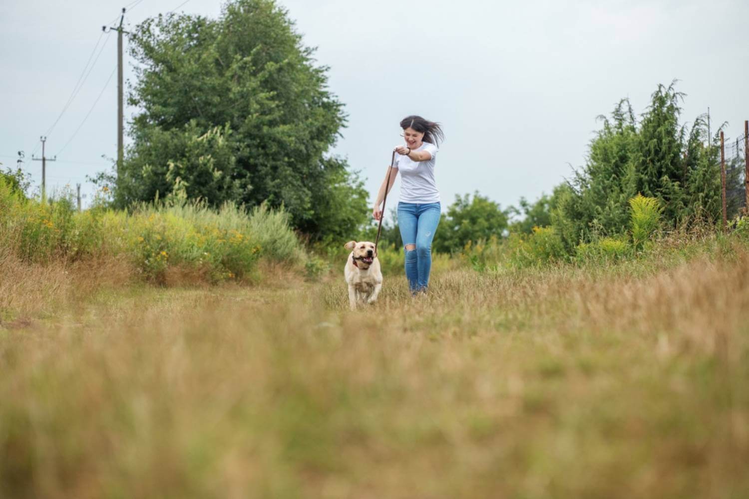 dog-walker-in-field