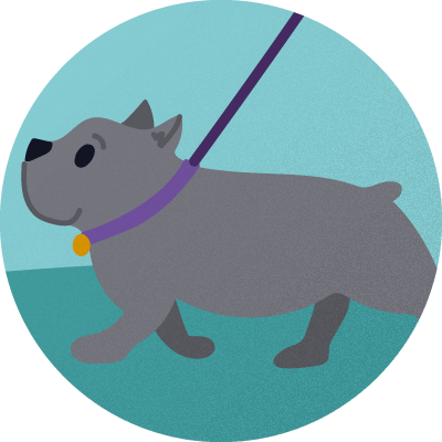 dog walking badge